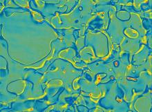 spinodal decomposition of a protein solution