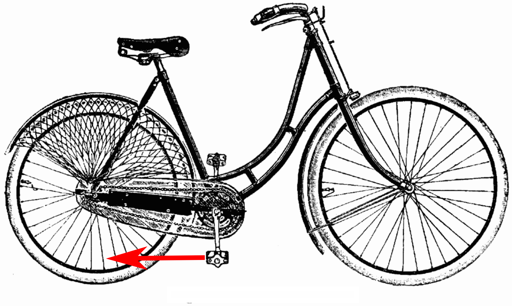 15_bicycleparadox_l-damenrad_with_force.png