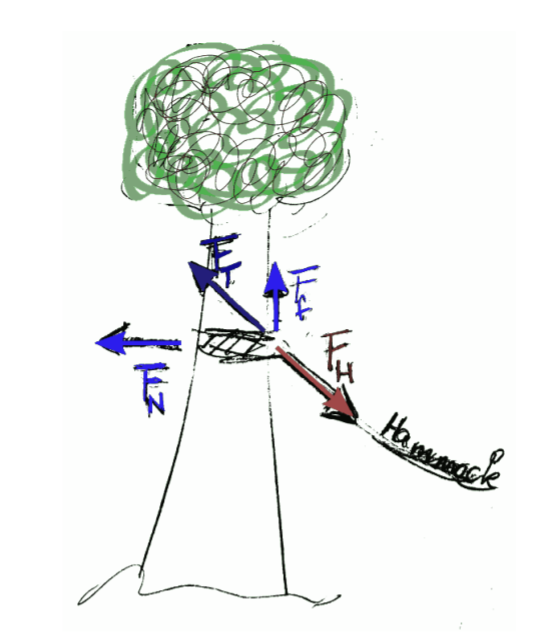 hammock_tree_forces.png
