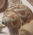 favicon2.ico