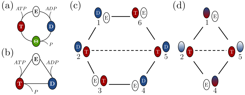 coarse graining of a Markov model