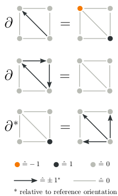 action of boundary and co-boundary operators